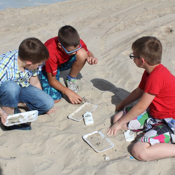 Nomenete "Ābolēni 2017"