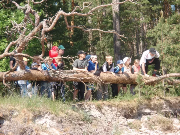 Nometne “Ābolēni 2008”